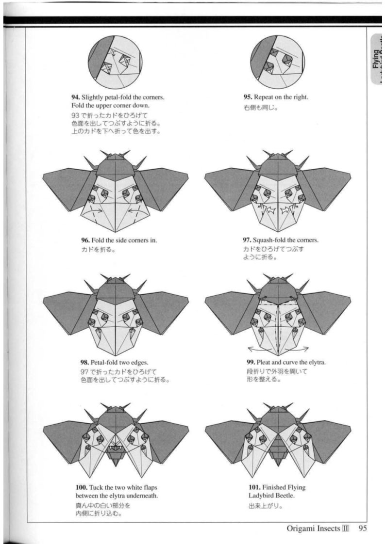 高级折纸会飞的瓢虫折纸步骤图解昆虫折纸之会飞的瓢虫