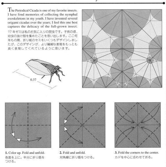 昆虫折纸十七年蝉折纸图解教程什么是十七年蝉