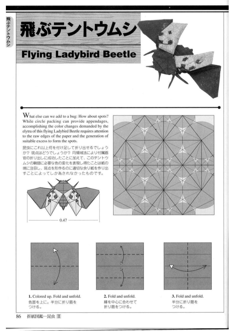 高级折纸：会飞的瓢虫折纸步骤图解 昆虫折纸之会飞的瓢虫