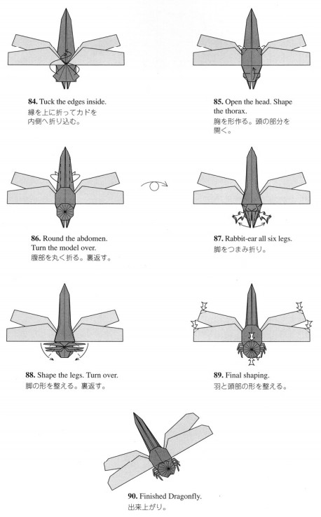 折纸蜻蜓的制作展现出了非常完美的折纸构型的内容