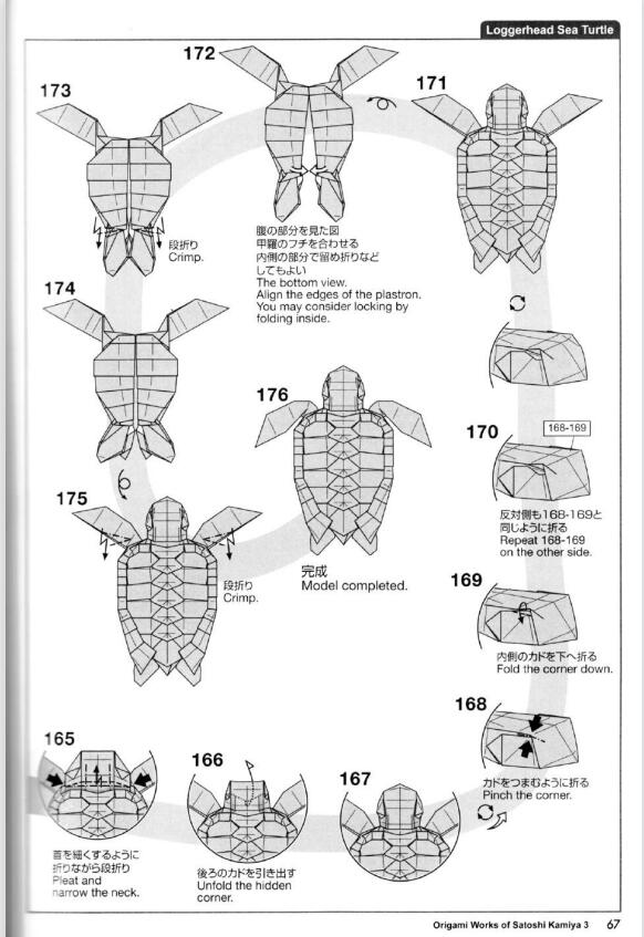 海龟高级复杂折纸教程,神谷哲史海龟折纸教程图解大全