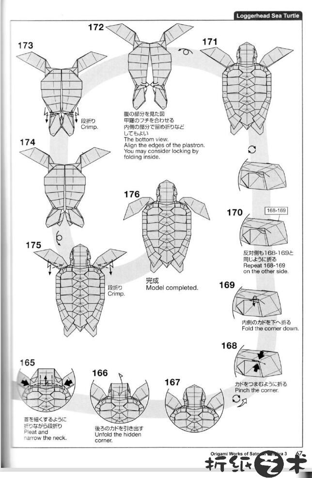 高级海龟折纸教程,海龟折纸怎么折？