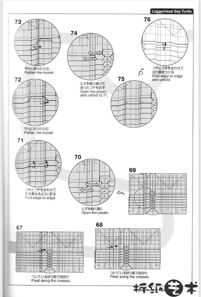 高级海龟折纸教程,海龟折纸怎么折？