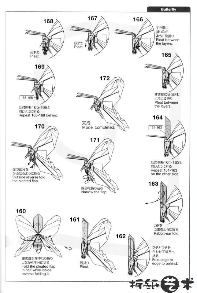漂亮纸蝴蝶怎么折,神谷哲史蝴蝶折纸图解教程大全,漂亮逼真的蝴蝶折纸