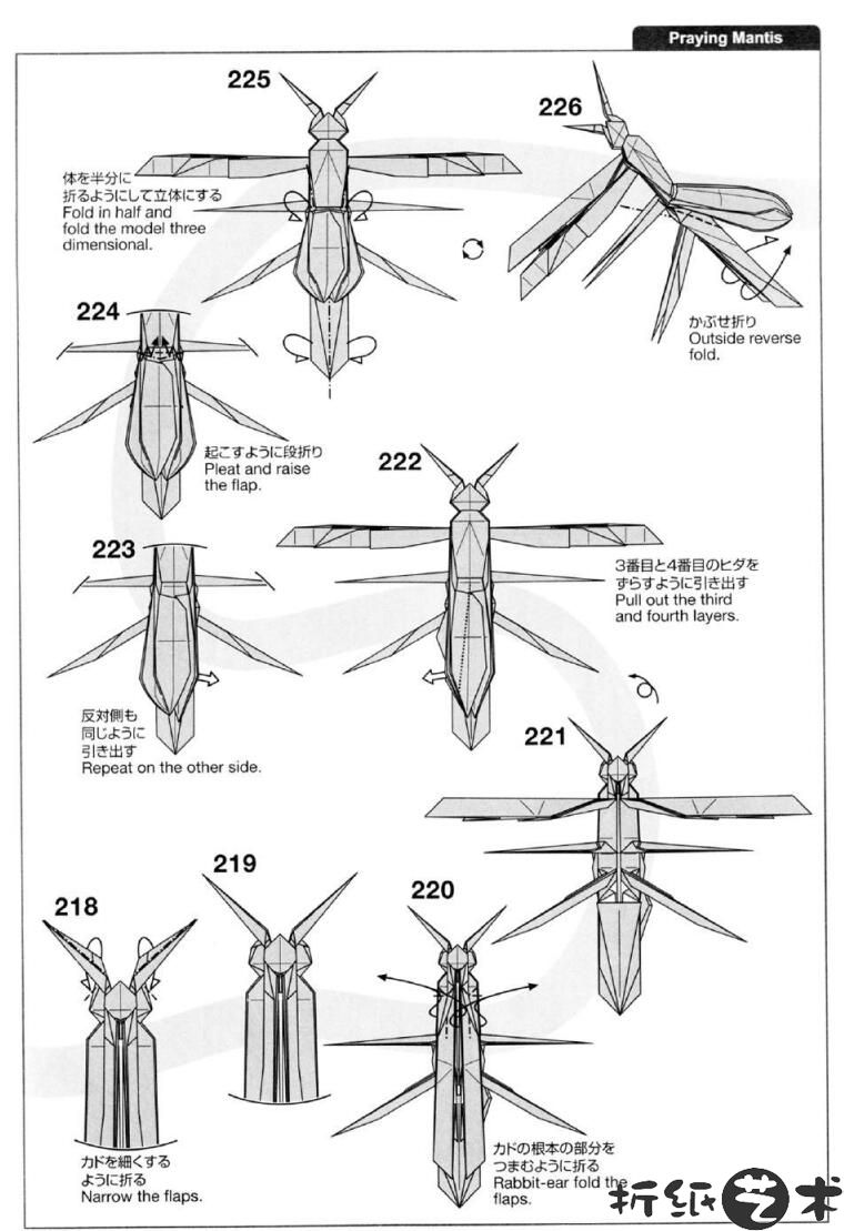神谷哲史螳螂折纸教程,神谷螳螂怎么折图片教程拆分