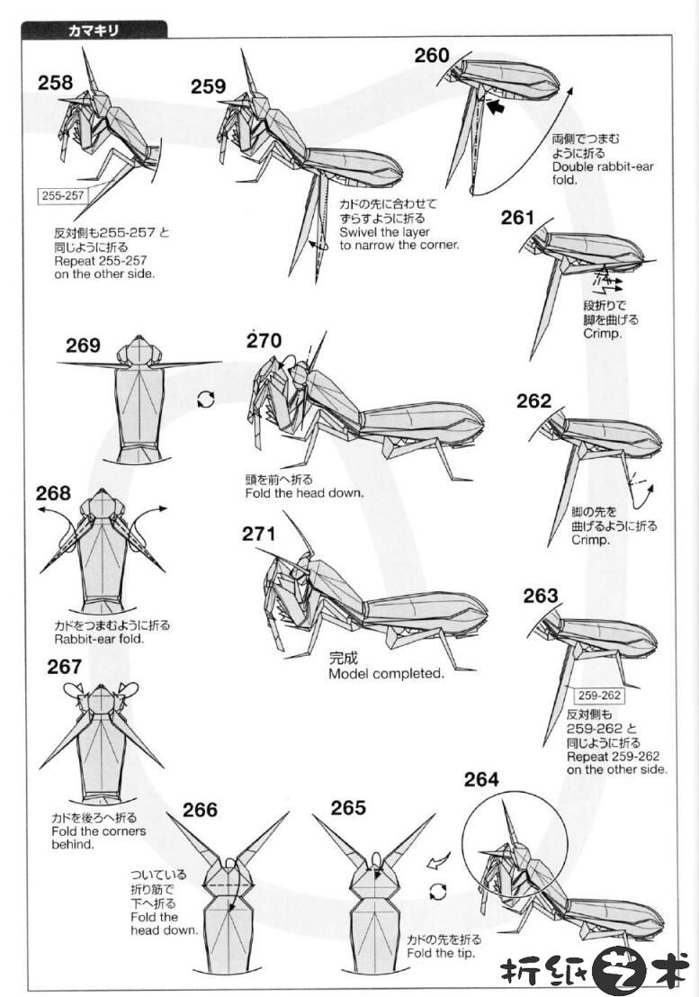 神谷哲史螳螂折纸教程,神谷螳螂怎么折图片教程拆分