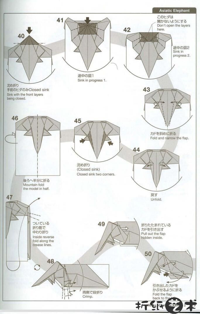 大象折纸教程，神谷哲史大象折纸图解分析