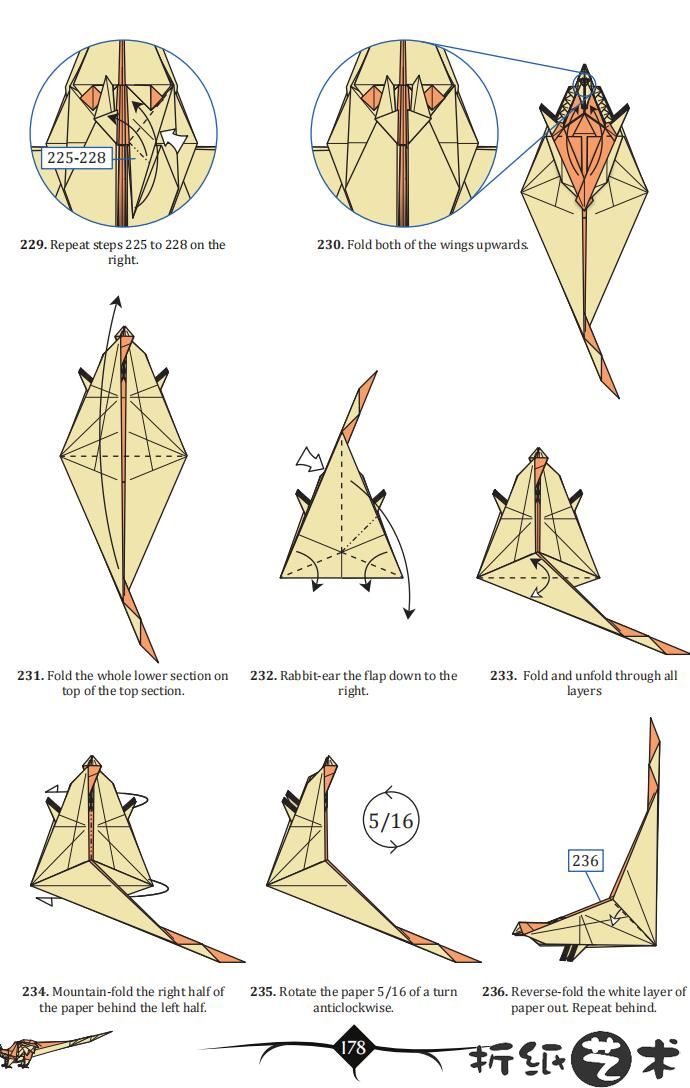 恶毒小龙折纸，西方龙折纸教程图解（229-236步）