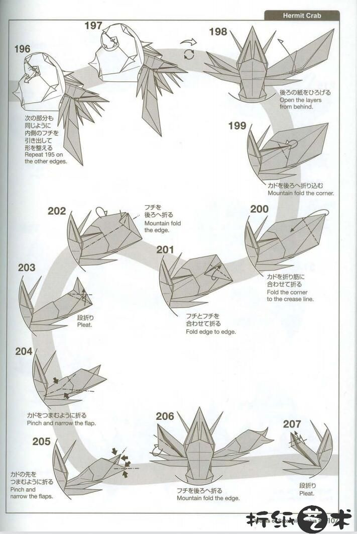 寄居蟹折纸教程图解 神谷哲史寄居蟹怎么折