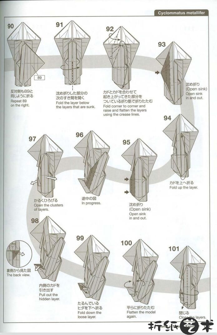 神谷哲史深山锹甲折纸教程 昆虫折纸之锹甲虫怎么折