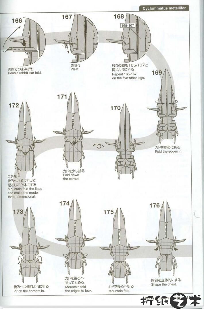神谷哲史深山锹甲折纸教程 昆虫折纸之锹甲虫怎么折