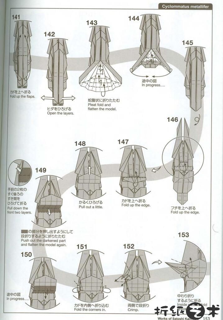 神谷哲史深山锹甲折纸教程 昆虫折纸之锹甲虫怎么折