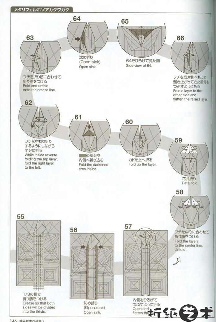 神谷哲史深山锹甲折纸教程 昆虫折纸之锹甲虫怎么折