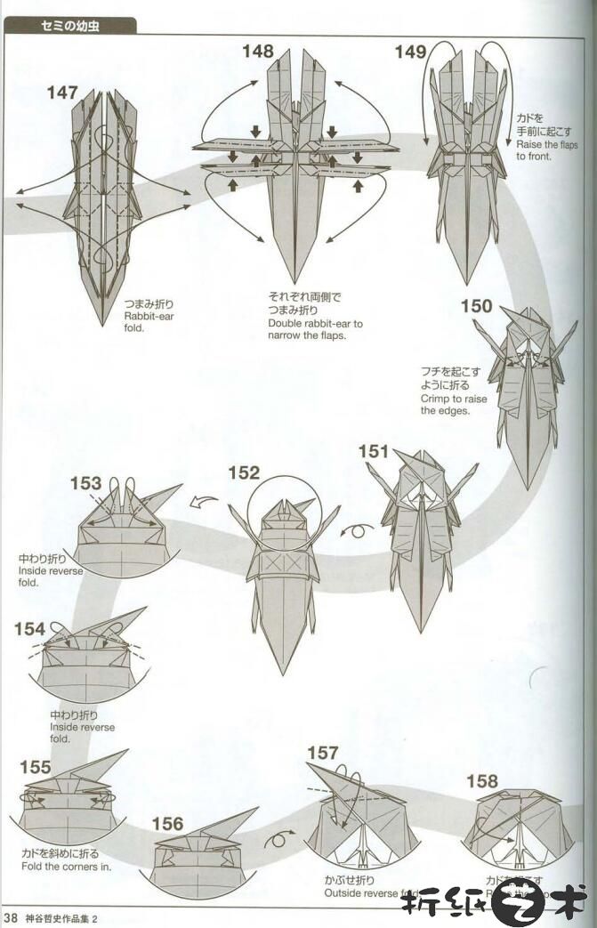 蝉蛹折纸教程图片大全，神谷哲史蝉蛹[幼蝉]怎么折