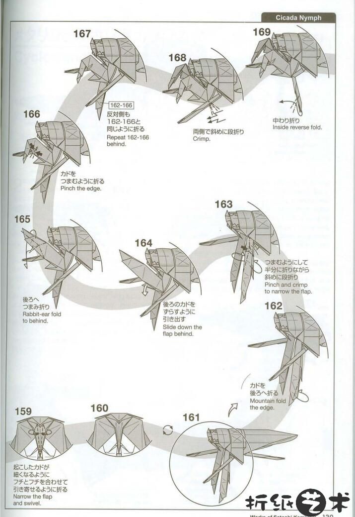 蝉蛹折纸教程图片大全，神谷哲史蝉蛹[幼蝉]怎么折