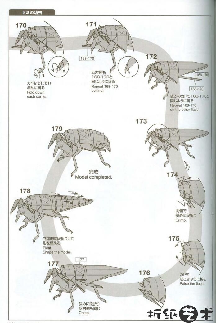 蝉蛹折纸教程图片大全，神谷哲史蝉蛹[幼蝉]怎么折